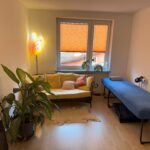 20241229_114416030_iOS